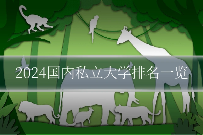 2024国内私立大学排名一览