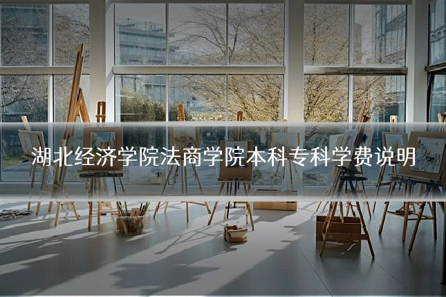 湖北经济学院法商学院本科专科学费说明