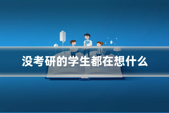 没考研的学生都在想什么