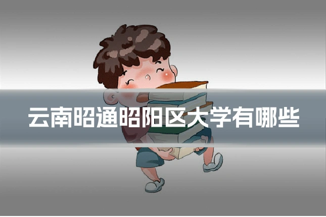 云南昭通昭阳区大学有哪些