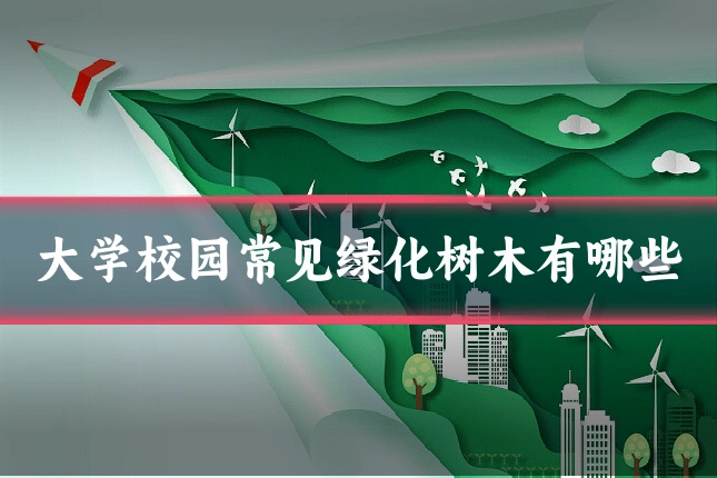 大学校园常见绿化树木有哪些