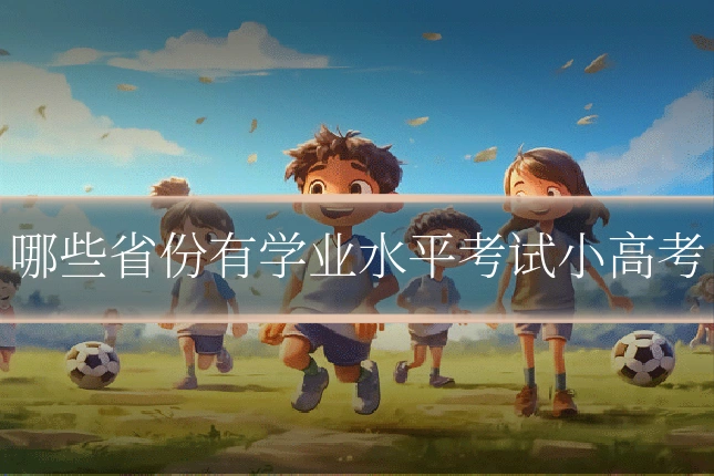 哪些省份有学业水平考试小高考