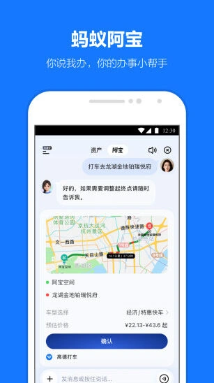 支付宝支付服务界面截图