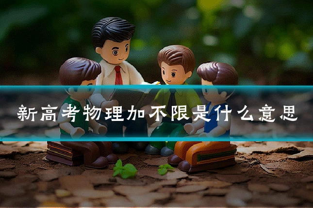 新高考物理加不限是什么意思