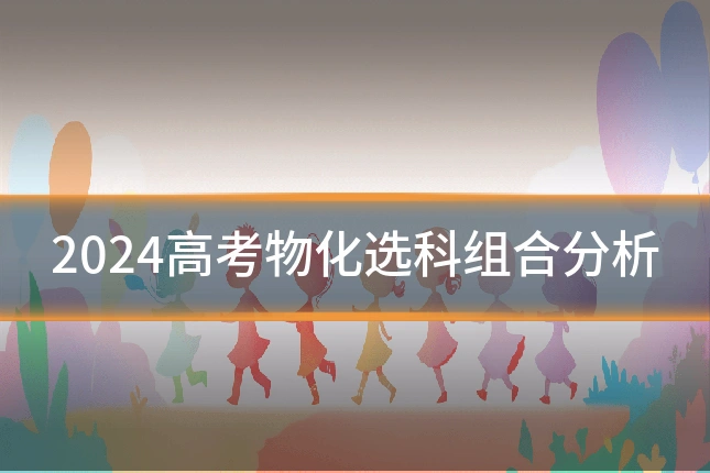 2024高考物化选科组合分析