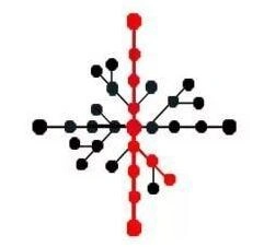 第五人格新版小丑天赋加点详细教程