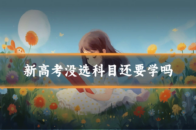 新高考没选科目还要学吗