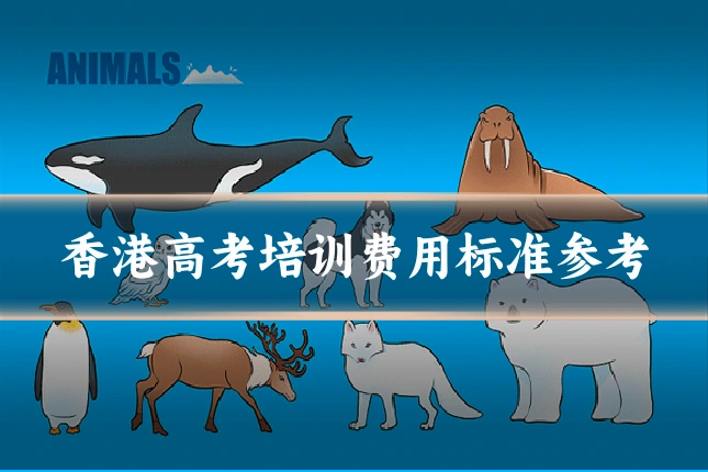 香港高考培训费用标准参考