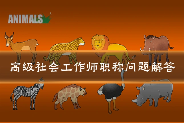 高级社会工作师职称问题解答