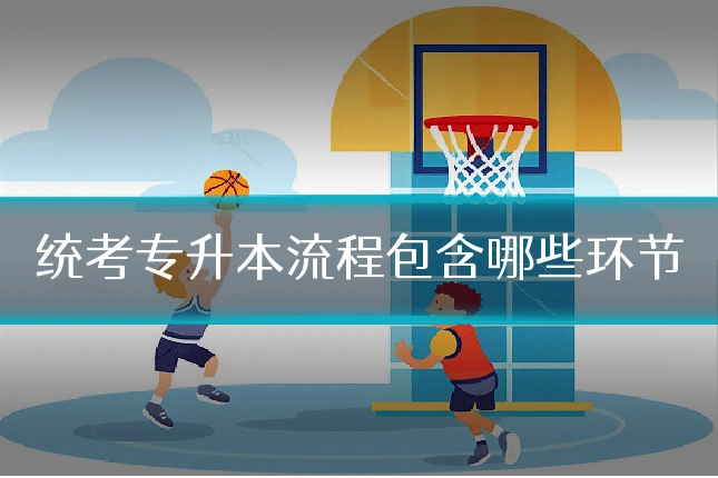 统考专升本流程包含哪些环节