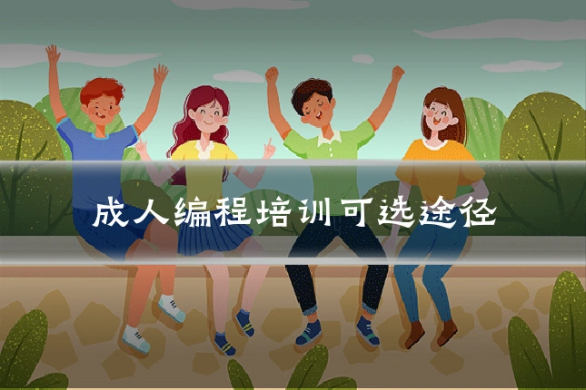 成人编程培训可选途径
