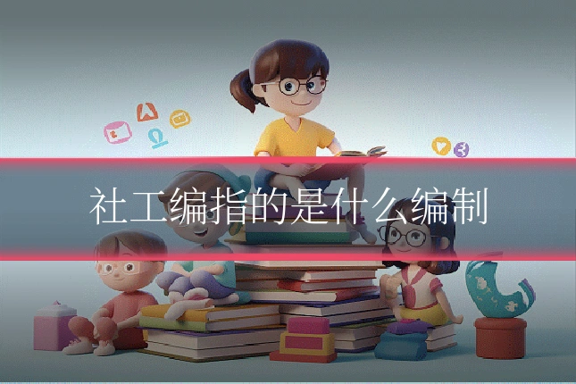 社工编指的是什么编制