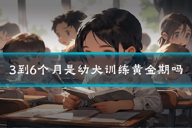 3到6个月是幼犬训练黄金期吗