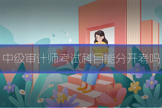 中级审计师考试科目能分开考吗