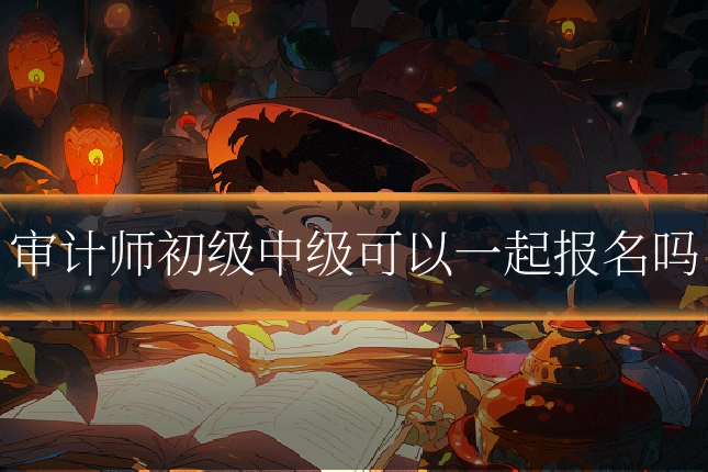 审计师初级中级可以一起报名吗