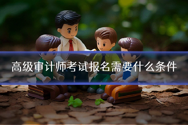 高级审计师考试报名需要什么条件