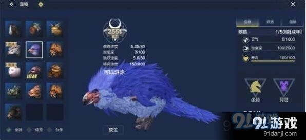 妄想山海翠鹞新手教学