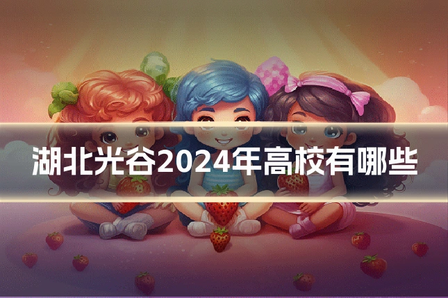 湖北光谷2024年高校有哪些