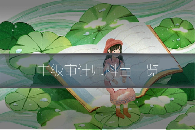 中级审计师科目一览