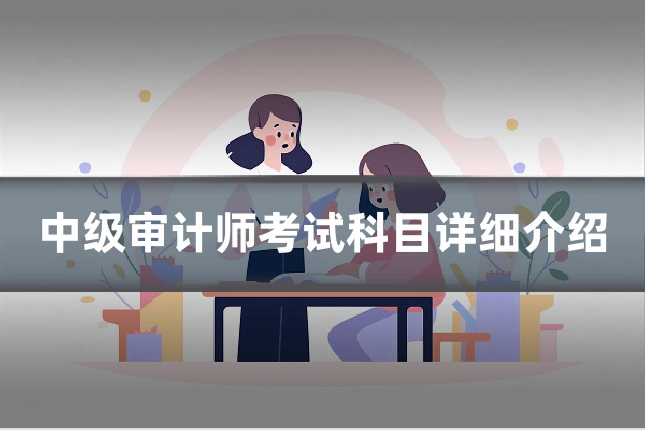 中级审计师考试科目详细介绍
