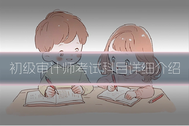 初级审计师考试科目详细介绍