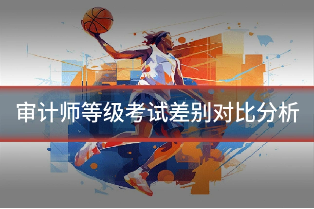 审计师等级考试差别对比分析