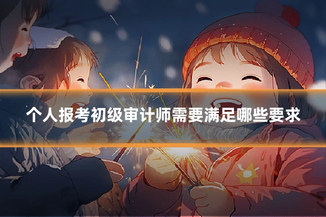 个人报考初级审计师需要满足哪些要求