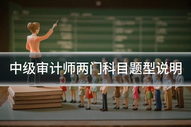 中级审计师两门科目题型说明