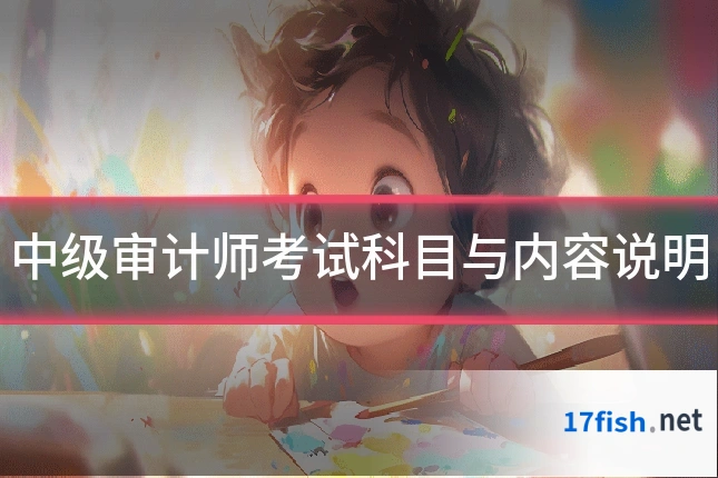 中级审计师考试科目与内容说明