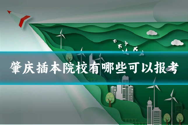 肇庆插本院校有哪些可以报考