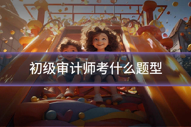 初级审计师考什么题型