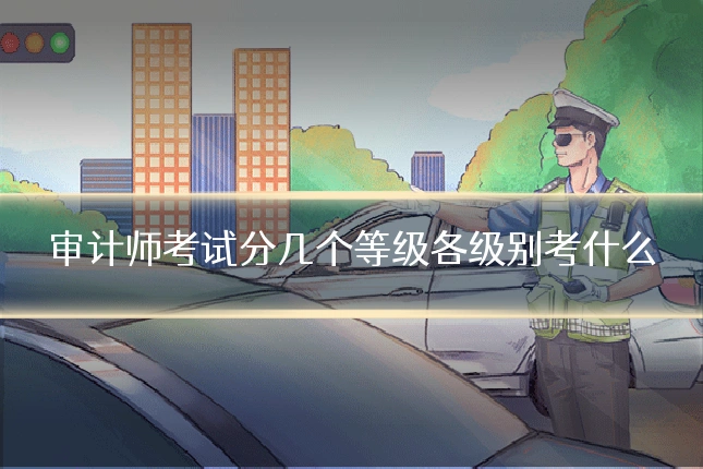 审计师考试分几个等级各级别考什么