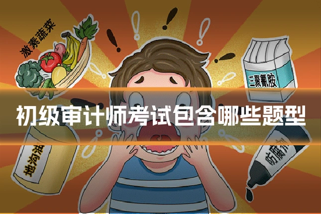 初级审计师考试包含哪些题型