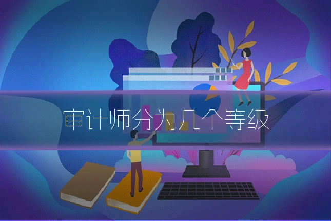 审计师分为几个等级