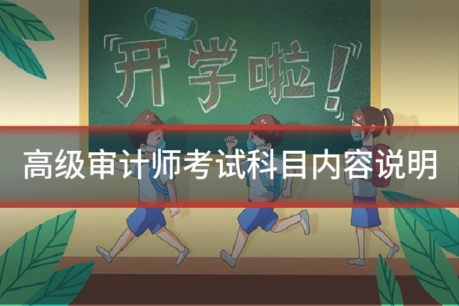 高级审计师考试科目内容说明