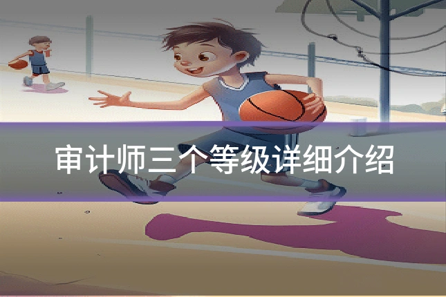 审计师三个等级详细介绍