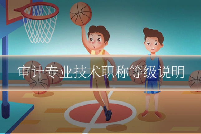 审计专业技术职称等级说明