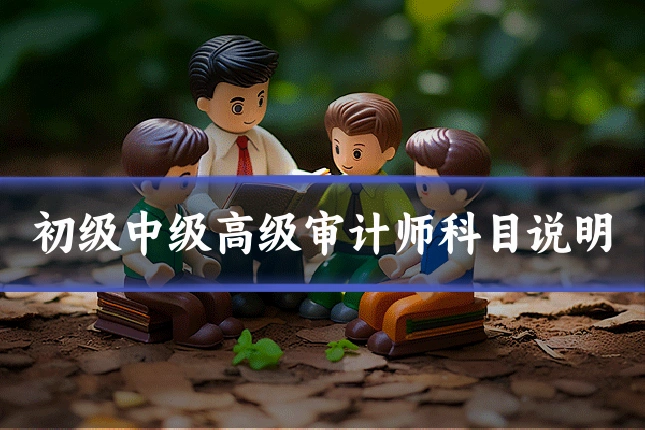 初级中级高级审计师科目说明