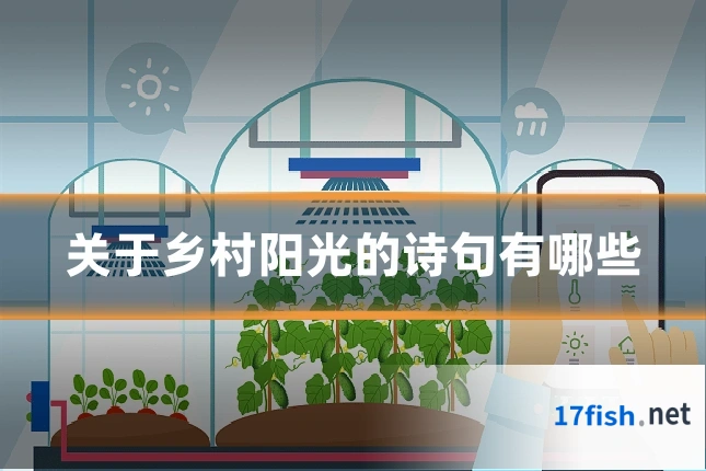 关于乡村阳光的诗句有哪些