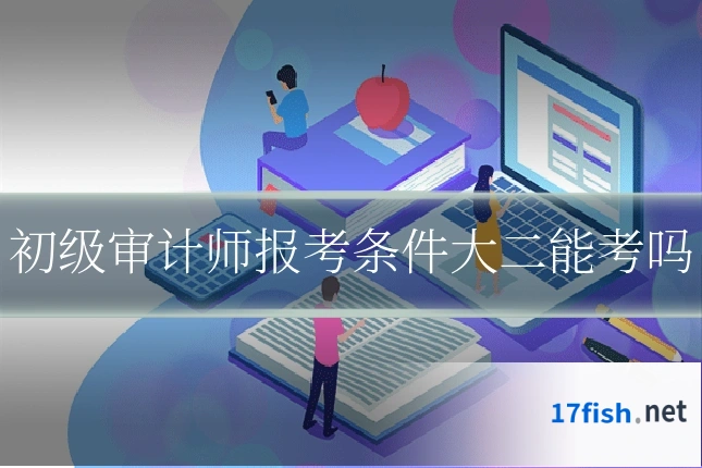 初级审计师报考条件大二能考吗