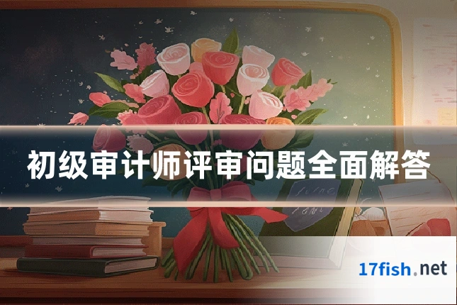 初级审计师评审问题全面解答