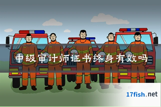 中级审计师证书终身有效吗