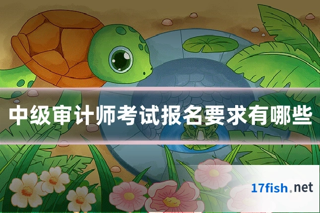 中级审计师考试报名要求有哪些