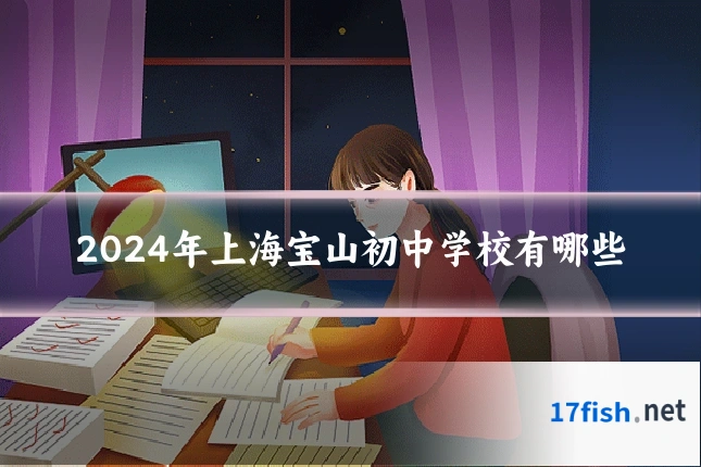 2024年上海宝山初中学校有哪些