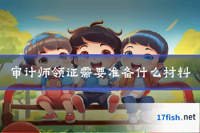 审计师领证需要准备什么材料