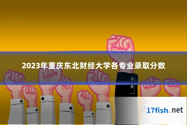 2023年重庆东北财经大学各专业录取分数