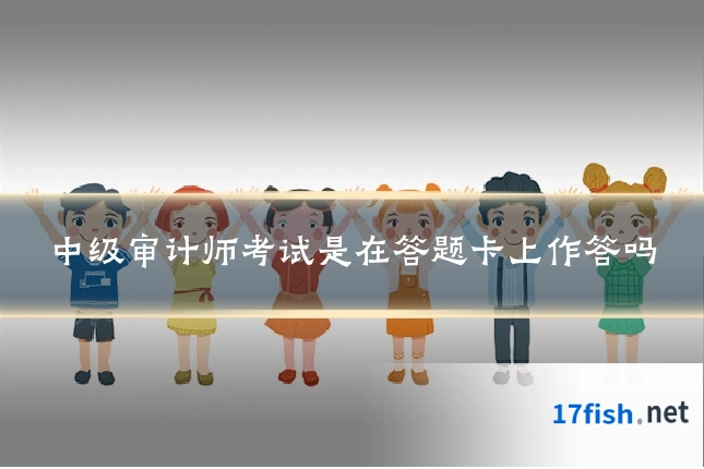 中级审计师考试是在答题卡上作答吗