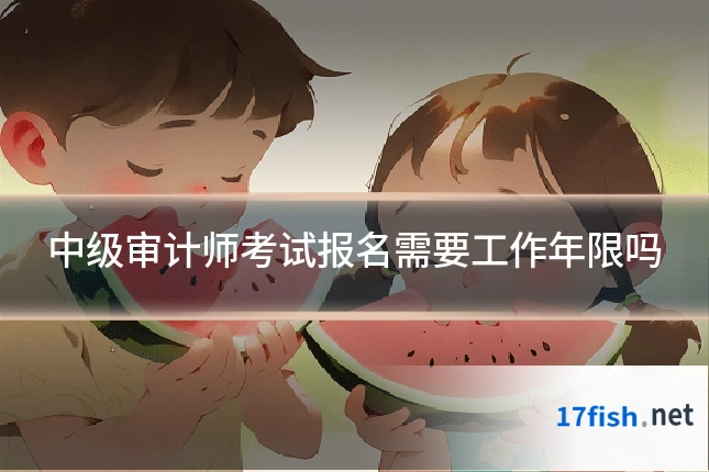 中级审计师考试报名需要工作年限吗