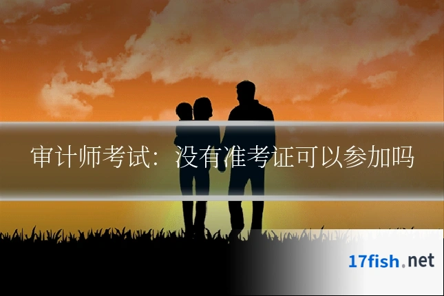 审计师考试：没有准考证可以参加吗