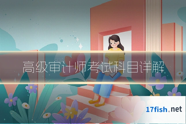 高级审计师考试科目详解